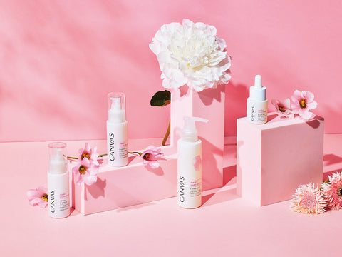 Perfect White Renewal Series