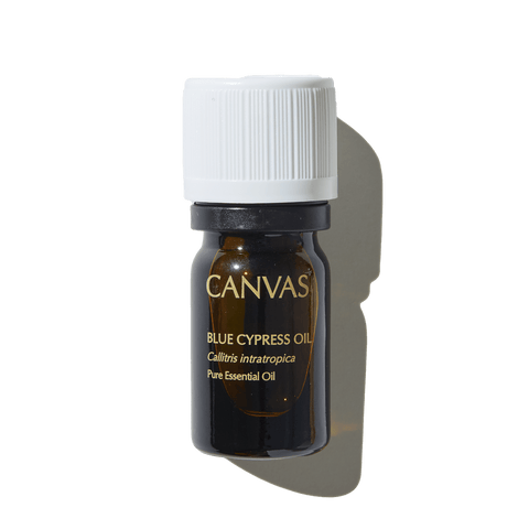 CANVAS Beauty Hong Kong aromatherapy Blue Cypress Oil